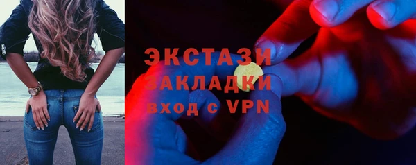 индика Пестово