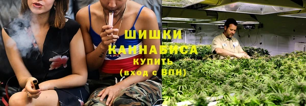 индика Пестово