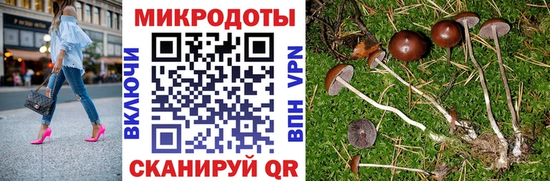 продажа наркотиков Углич Псилоцибиновые грибы мицелий