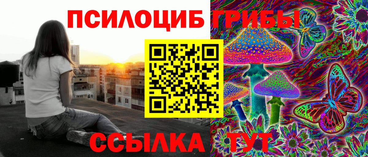 Углич  Псилоцибиновые грибы мицелий  Вход с VPN 